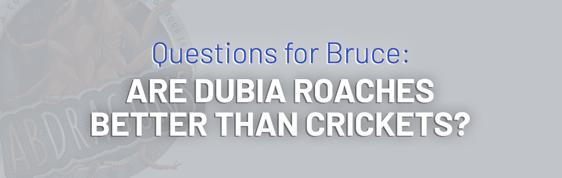 Questions for Bruce: Are Dubia Roaches Better Than Crickets?